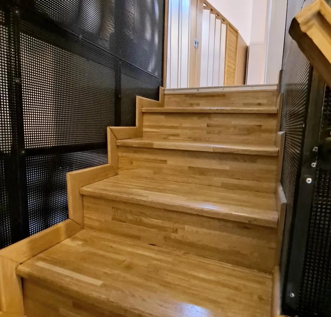 Guest house Vila Ris Bucharest Unirii ,Centru